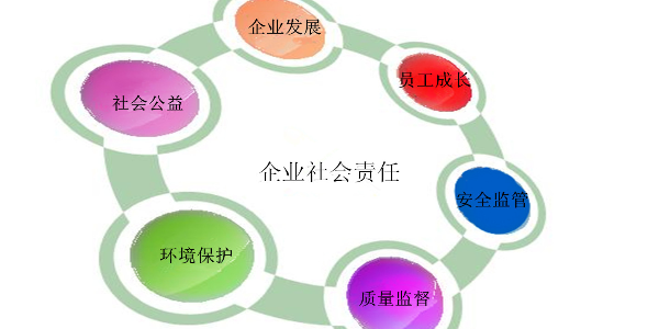 蚌埠芭乐视频APP在线网站进入IOS玻璃机械有限公司 2020年度社会责任报告